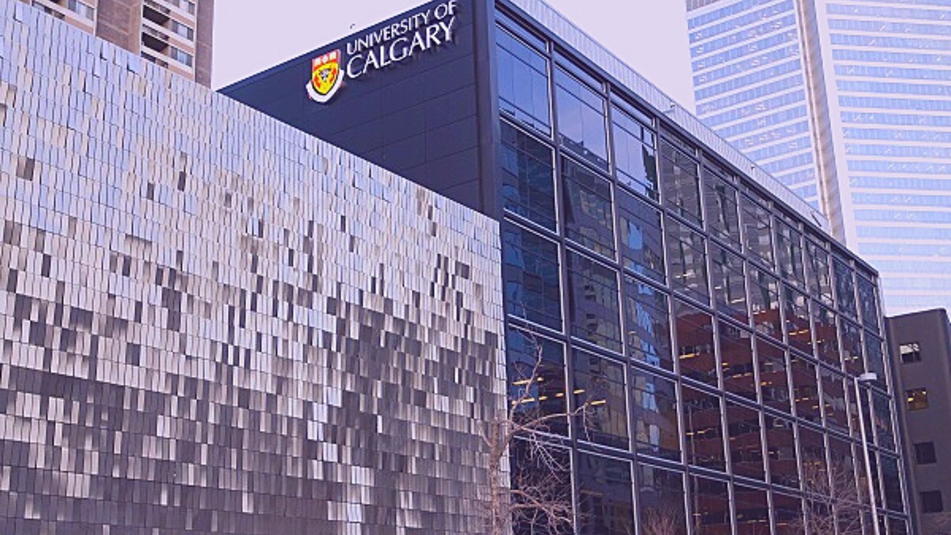 MBBS in Canada - University of Calgary